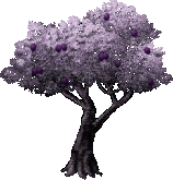 File:FruitTree(Plum).png