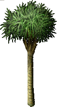 File:FruitTree(Coconut).png