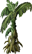 File:FruitTree(Banana).png