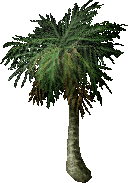 File:FruitTree(DatePalm).png