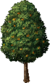 FruitTree(Lemon).png